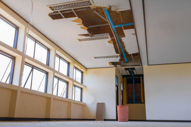 Best Water damage cleanup near me  in Rockfish, NC