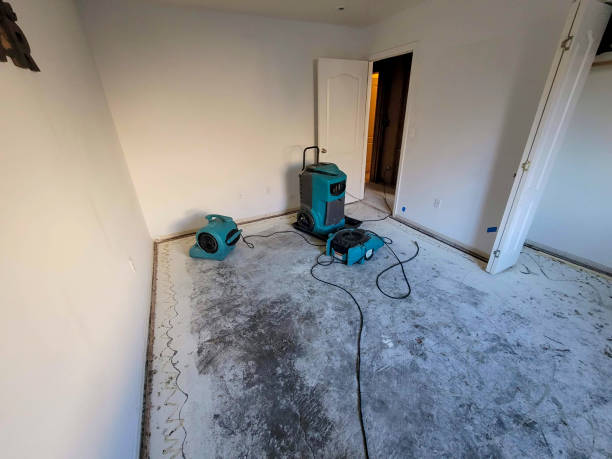 Best Local water damage restoration  in Rockfish, NC