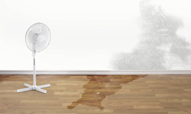 Best Water damage restoration insurance claims  in Rockfish, NC