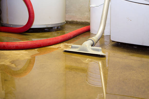 Best Water damage restoration experts  in Rockfish, NC