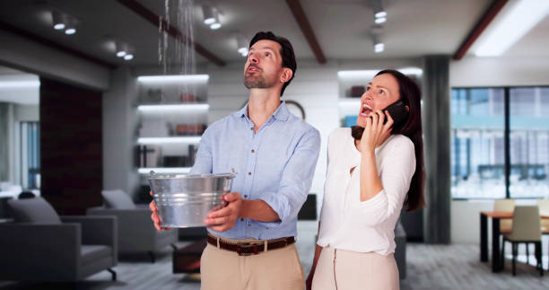 Best Professional water damage repair  in Rockfish, NC